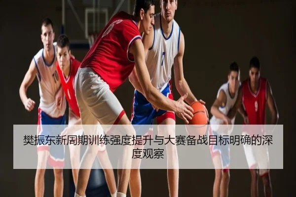 樊振东新周期训练强度提升与大赛备战目标明确的深度观察